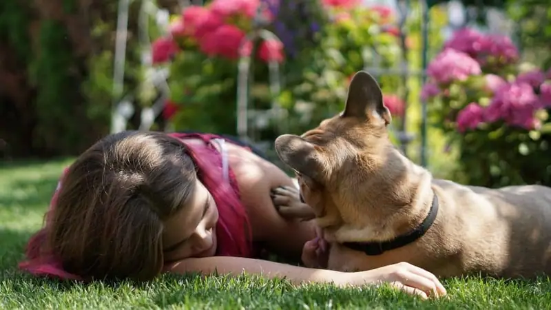 Loyal dog with owner.